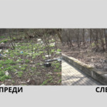 Микросметище в Добрич изчезна за 24 часа, но проблемът остава (ВИДЕО)