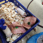 Над 3,5 тона храни в Дулово ще бъдат унищожени