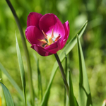 Прогноза за времето на 26 април 