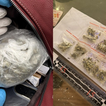 Задържаха жена с канабис при полицейска операция в Добрич