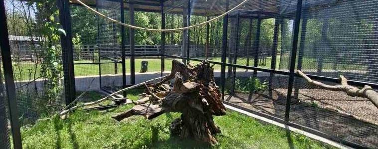 Нова волиера с двойка папагали Кралско Жако откриват в зооцентъра в Добрич