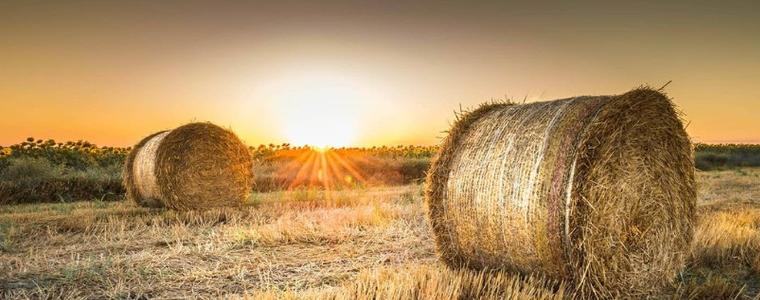Месечна прогноза за юли: Очакват се продължителни горещи вълни