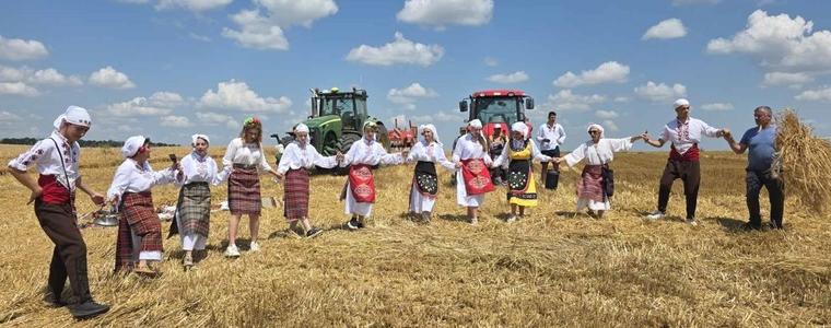 Ученици от ПГАС – Добрич дадоха символично начало на жътвата в Добруджа (СНИМКИ И ВИДЕО)