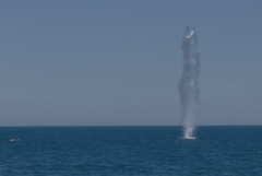 Военноморските сили унищожиха дрон, открит в морето край Кранево