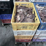 БАБХ възбрани близо 500 кг свинско месо и странични продукти в месопреработвателно предприятие в Хасково