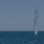 Военноморските сили унищожиха дрон, открит в морето край Кранево