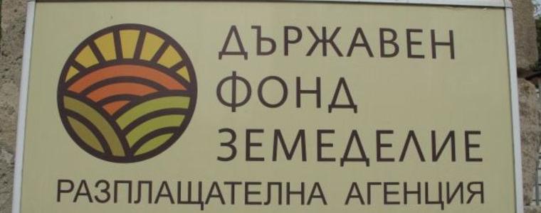 ДФЗ: Започват проверки на заявленията за подпомагане по Кампания 2026