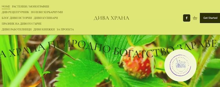 „Истории от Добрич“: Дивите растения на Крушари оживяват в дигитална кулинарна карта