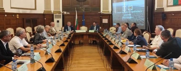 Търсят решения срещу съхненето на горите, Североизточна България е сред най-засегнатите райони
