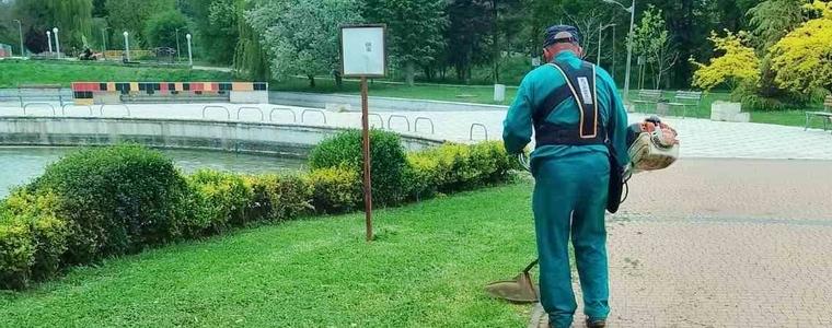 В ход е лятната поддръжка на зелените площи в Добрич