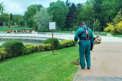 В ход е лятната поддръжка на зелените площи в Добрич 