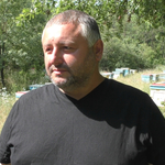 Пчелар: Въпреки трудното начало на сезона, надеждите са за добра слънчогледова паша