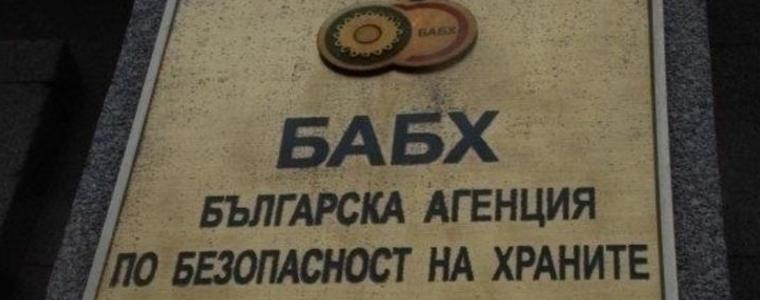 БАБХ установи огнище на африканска чума по свинете във Варненско