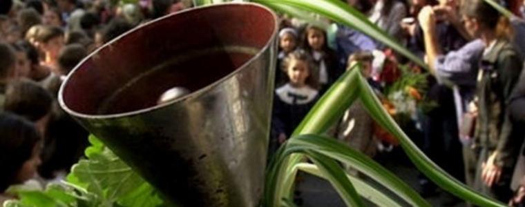 1 194 първокласници прекрачват училищния праг в област Добрич
