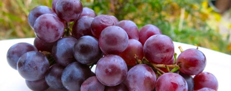 БАБХ спря над 14 тона грозде от Турция с наднормени остатъци от пестициди
