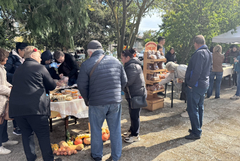 В пъти повече гости на третото издание на фестивала на тиквата в Дуранкулак (СНИМКИ)