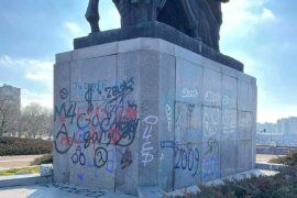Почистване на Добротица