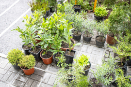 ПМГ "Иван Вазов"